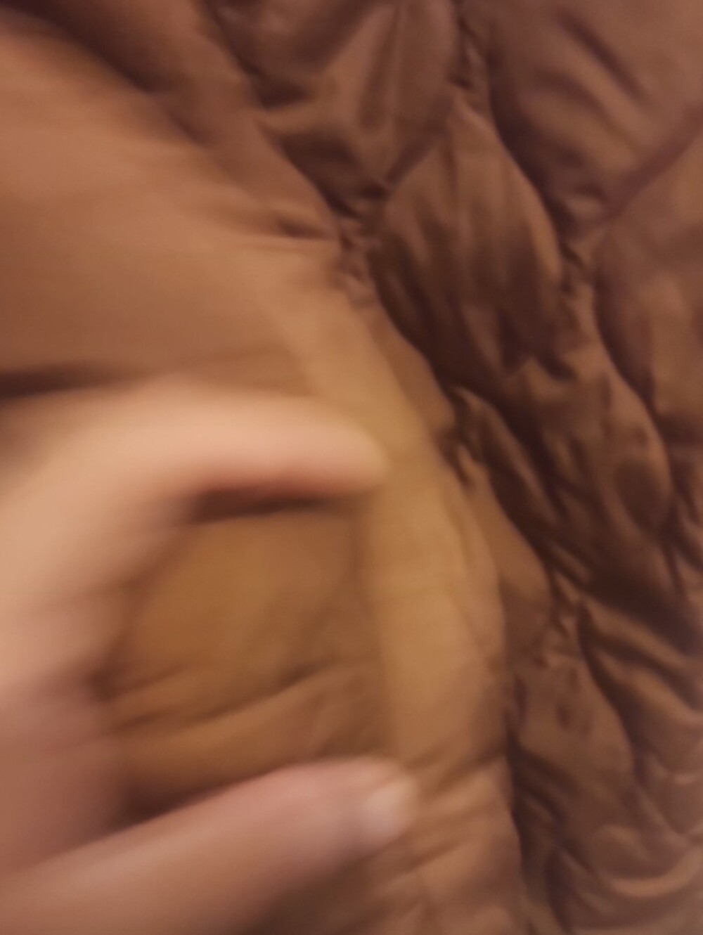 J. Crew Brown Quilted Puffer Coat with Pink Lining - Picture 5 of 7